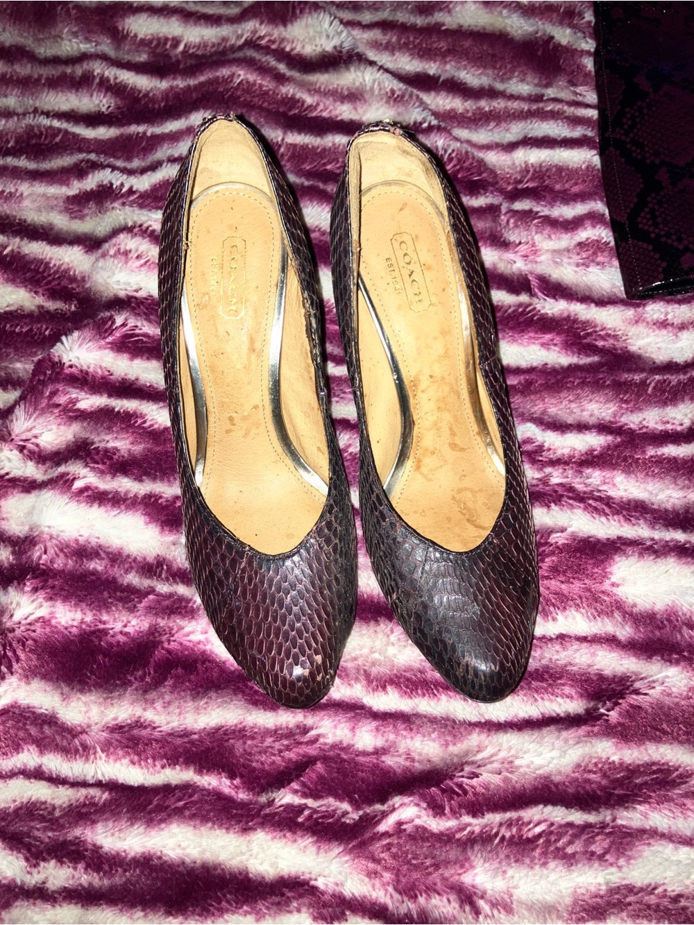 Coach Dark Brown Snakeskin-Embossed Pointed-Toe Pumps